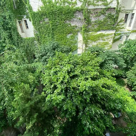 Apartment Raday Street, Spacious, Modern